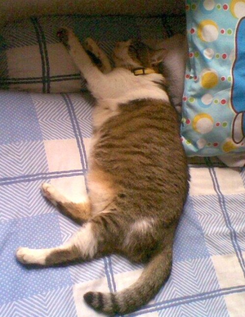 FullSizeRender.jpg image