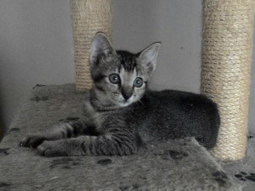 IMG-20150528-WA0001_1.jpg image