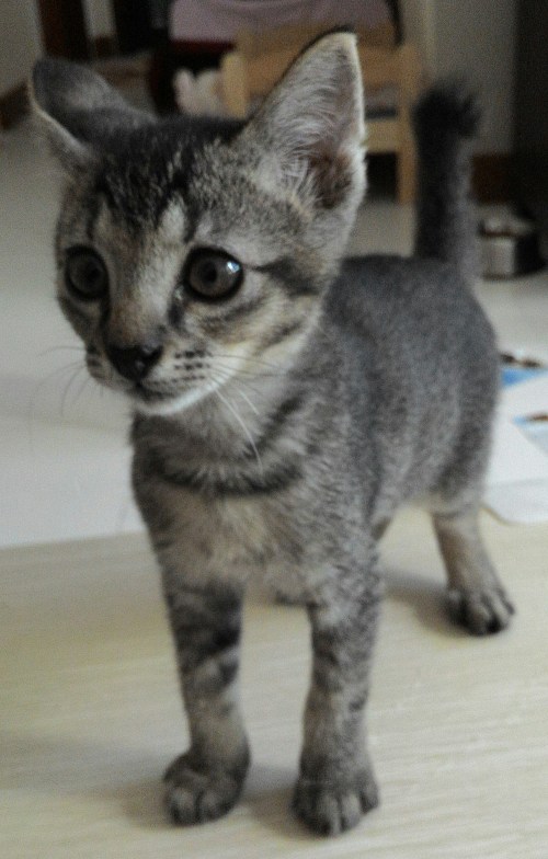 IMG-20150530-WA0003_1.jpg image