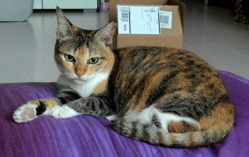 P_20150419_083208_1.jpg image