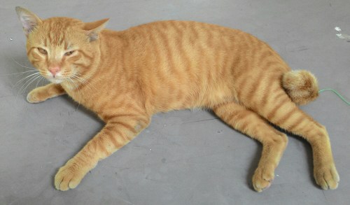 P_20150505_164155_1.jpg image