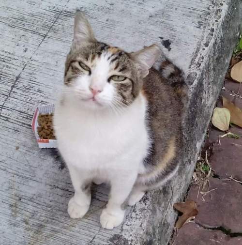 FB_IMG_1436545728235.jpg image