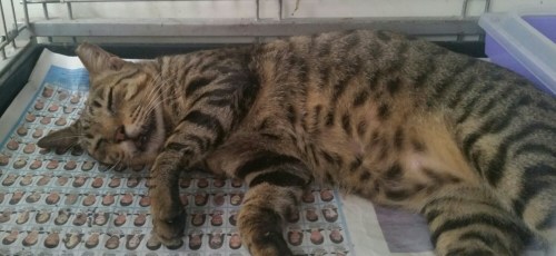 2015-08-29 10.26.55.jpg image