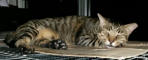 2015-08-31 23.38.06.jpg image