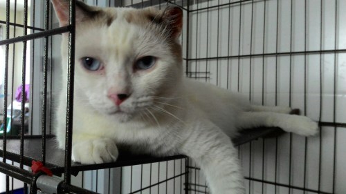 P_20150722_115041.jpg image