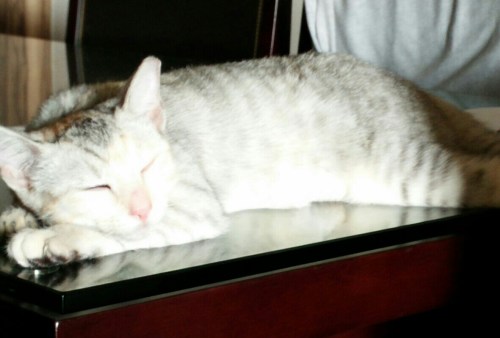 2015-09-29 07.15.55.jpg image