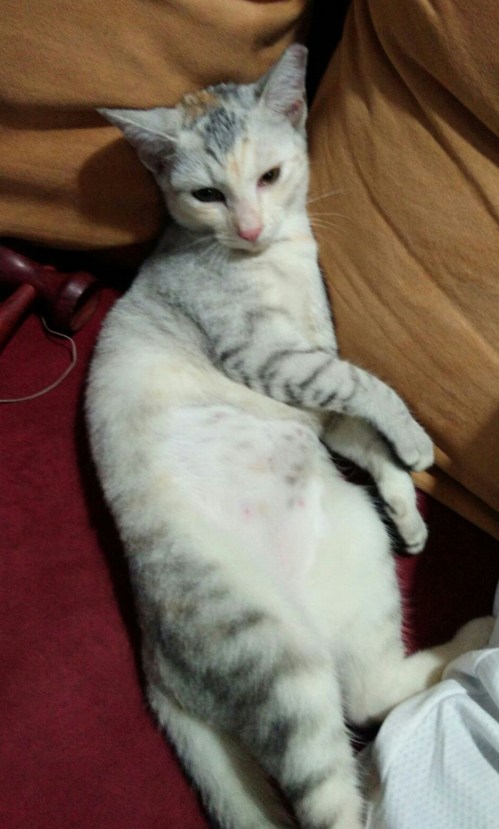 2015-09-29 07.16.29.jpg image