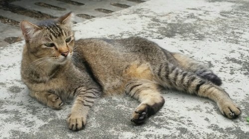 2015-10-26 00.01.20.jpg image