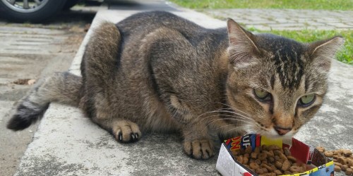 2015-10-26 00.02.54.jpg image