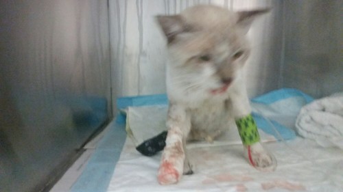 20151001_144630.jpg image