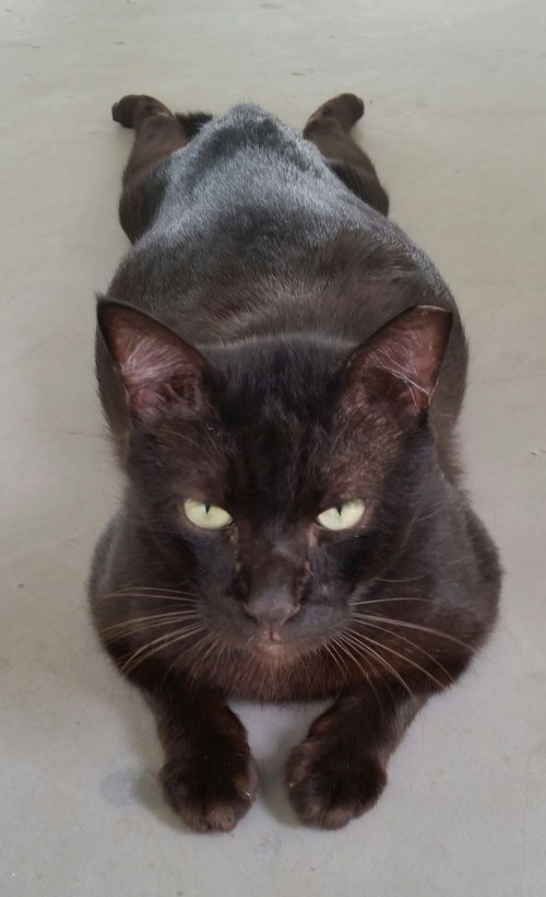 2015-12-04 00.15.31.jpg image