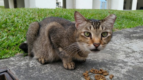 20151028_171613.jpg image