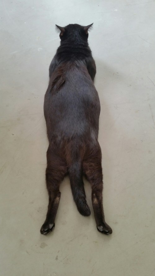 20151105_155451.jpg image