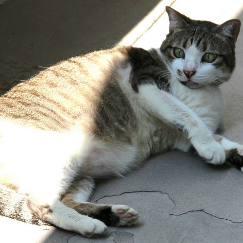 IMG_20150922_010729.jpg image