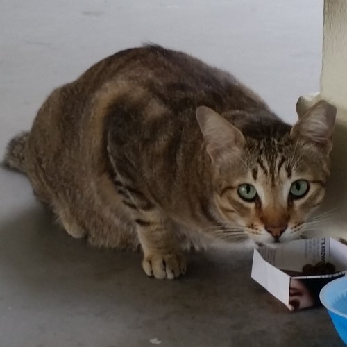 IMG_20151201_083718.jpg image