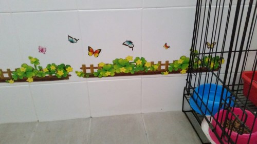 20160306_144120.jpg image