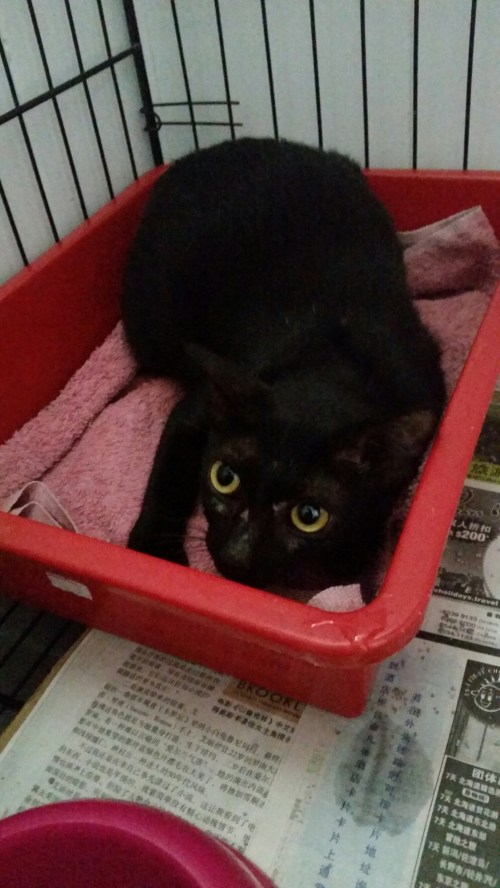 20160307_152652.jpg image