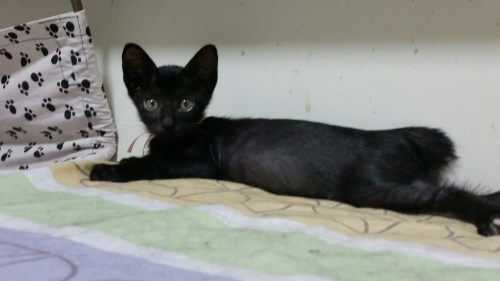 20160428_200315.jpg image