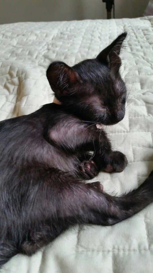 20160429_165703.jpg image