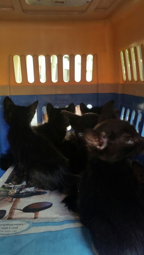 20160317_155729.jpg image